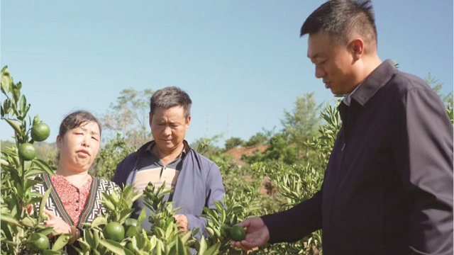 奔走在乡村振兴路上的“兵支书”