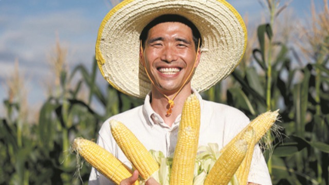 老兵变身“蔬菜指挥员”，带领乡亲走上“共富路”