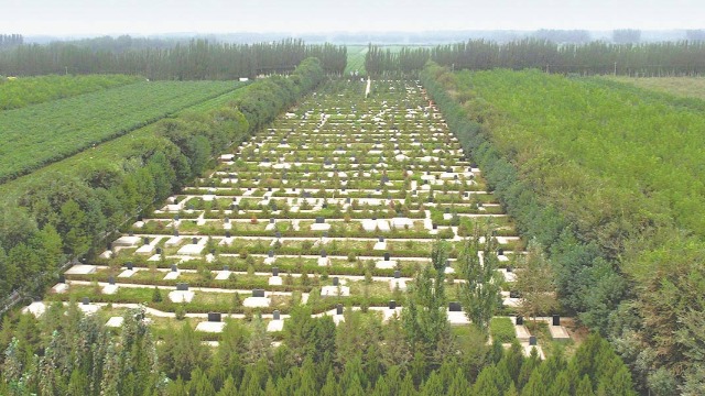 ‌70多年前，这群“沙海老兵”挺进和田，荒原变绿洲！