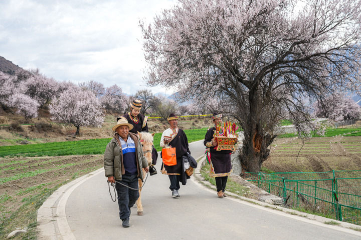 新华全媒头条殷切的嘱托前行的力量——习近平总书记在全国两会上的重要部署引领中国式现代化谱写新篇章(图14)