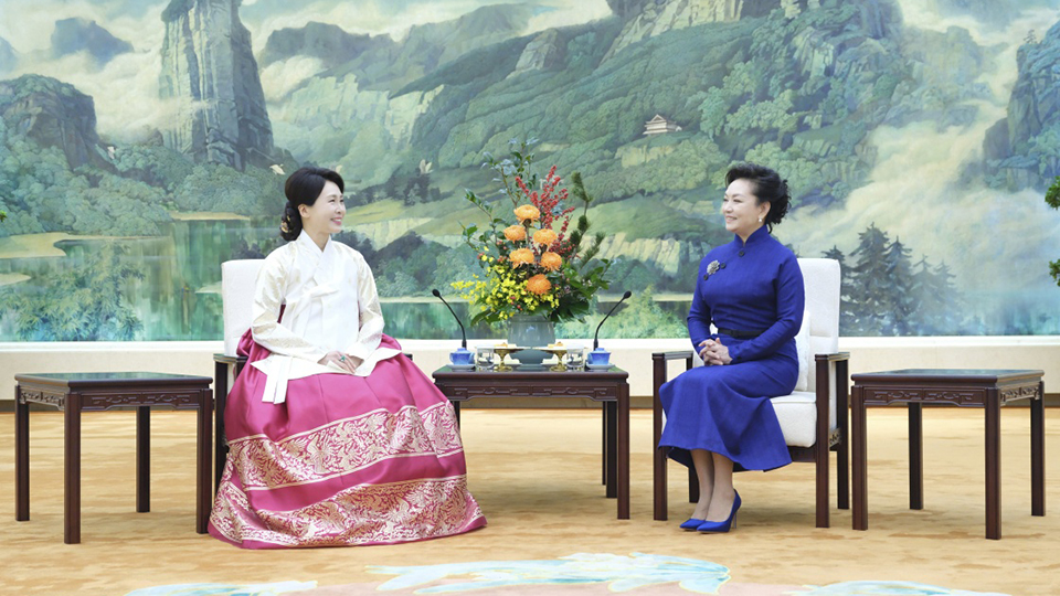 彭丽媛同韩国总统夫人金惠景茶叙