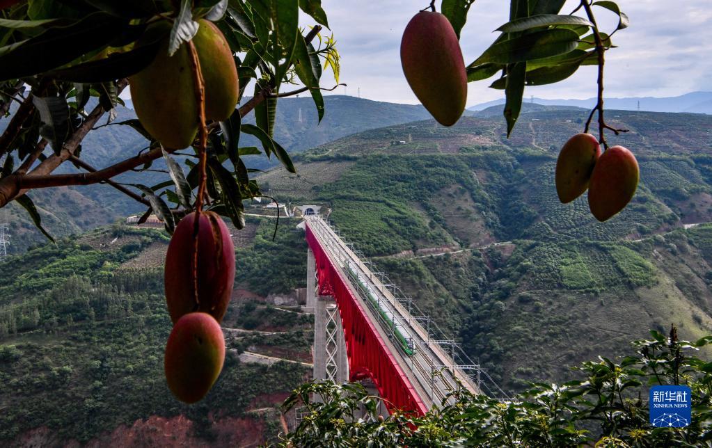 书写人类文好玩的老传奇明谱系的中国篇章