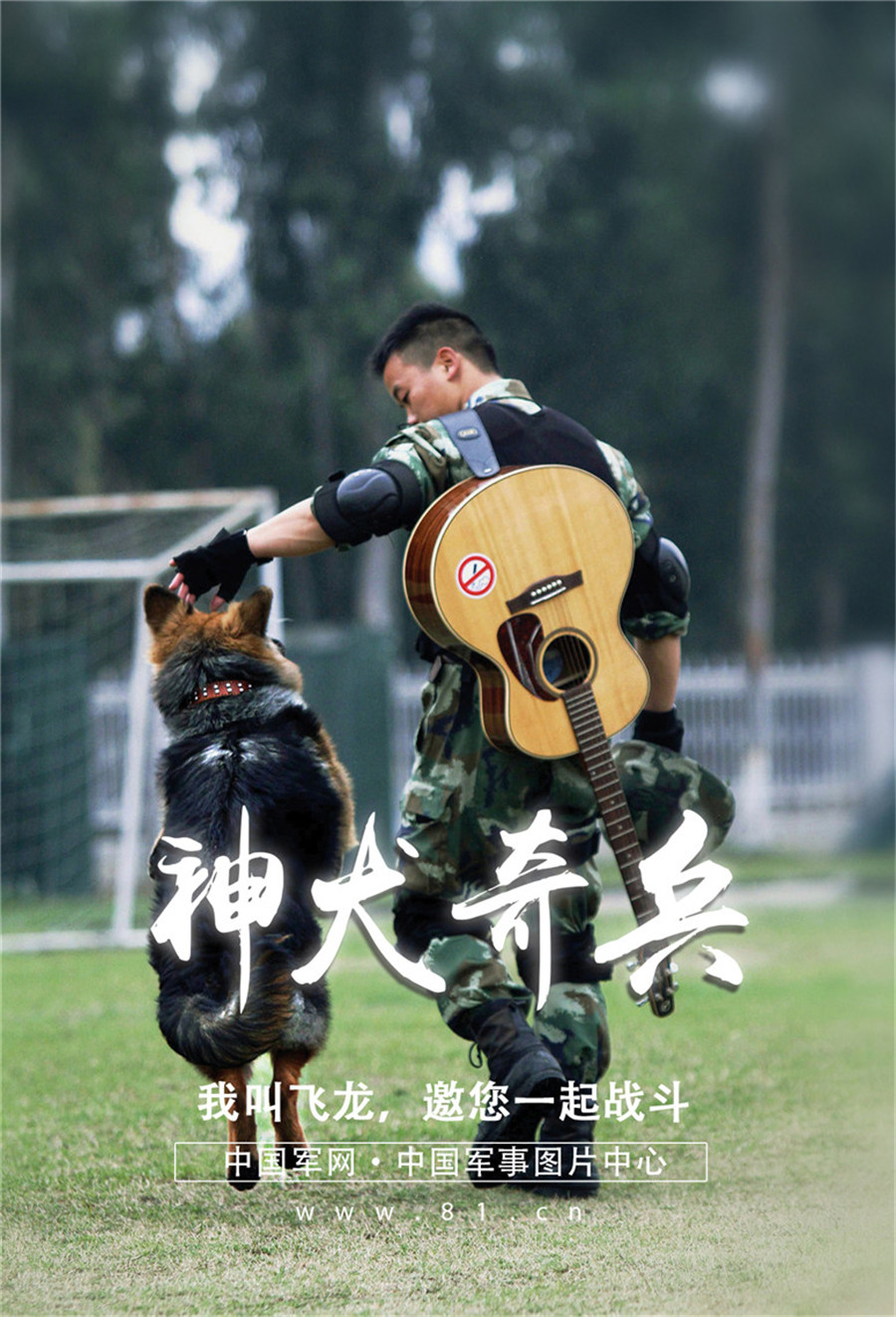 高清壁纸|新一年 和穿军装的汪星人一起战斗