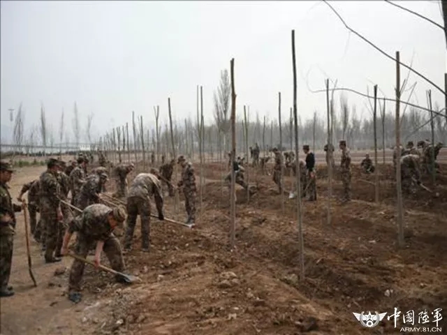 在军营,有这么一群人…