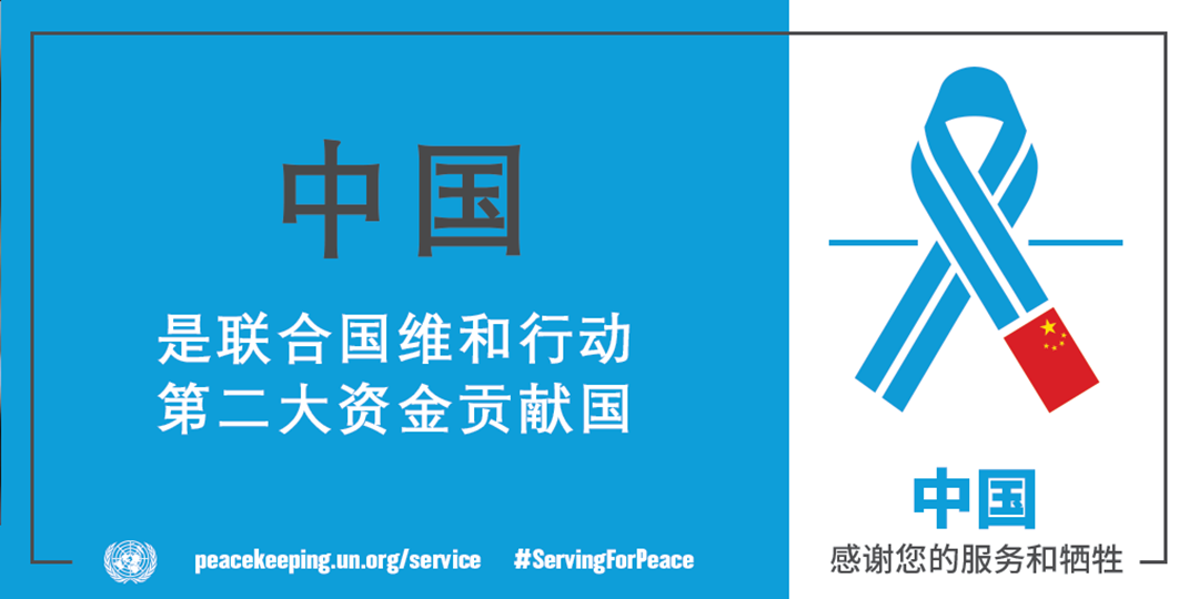 中华人民共和国第七次人口普查表图片